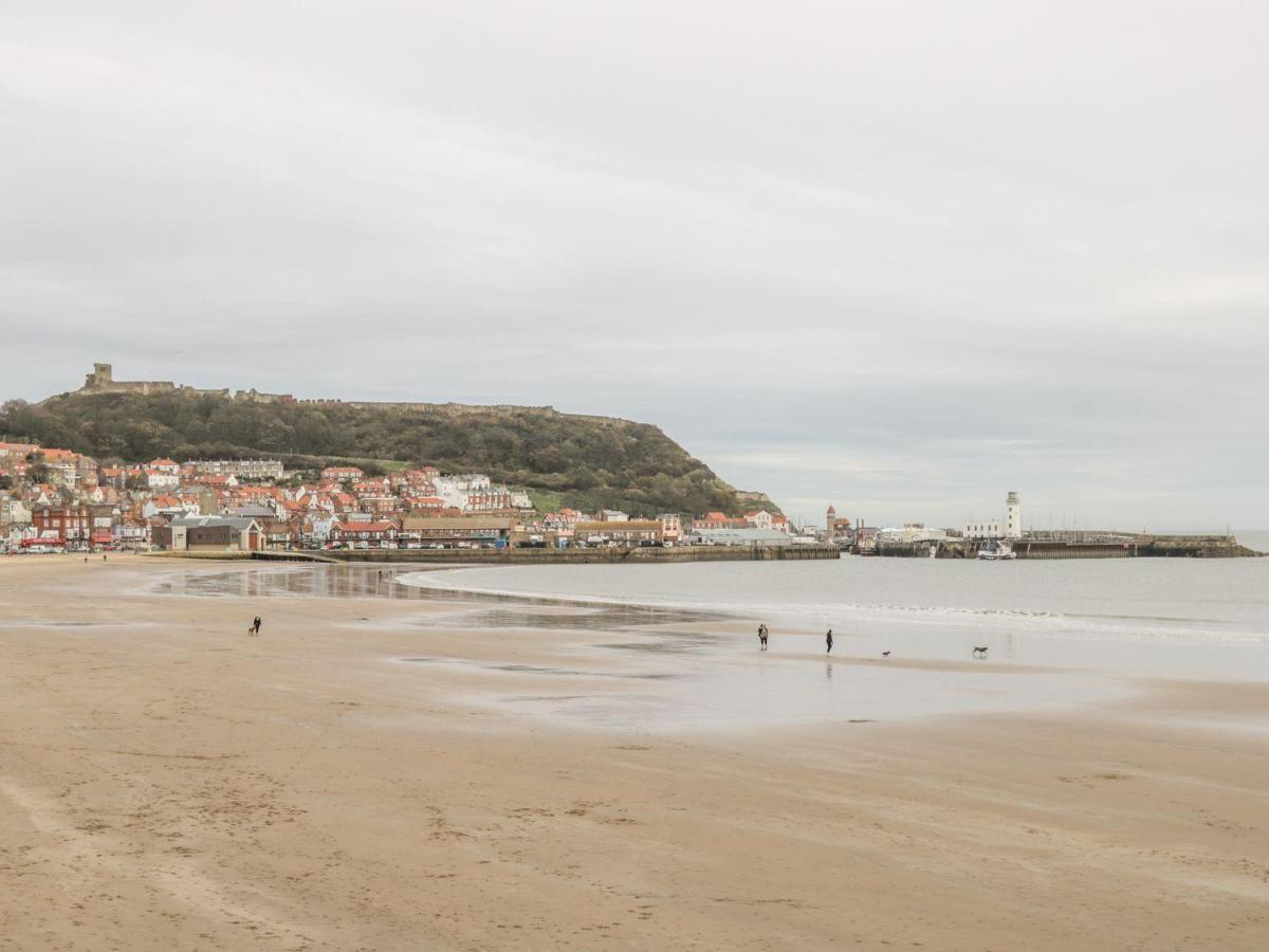 7A Belvoir Terrace Scarborough Dış mekan fotoğraf